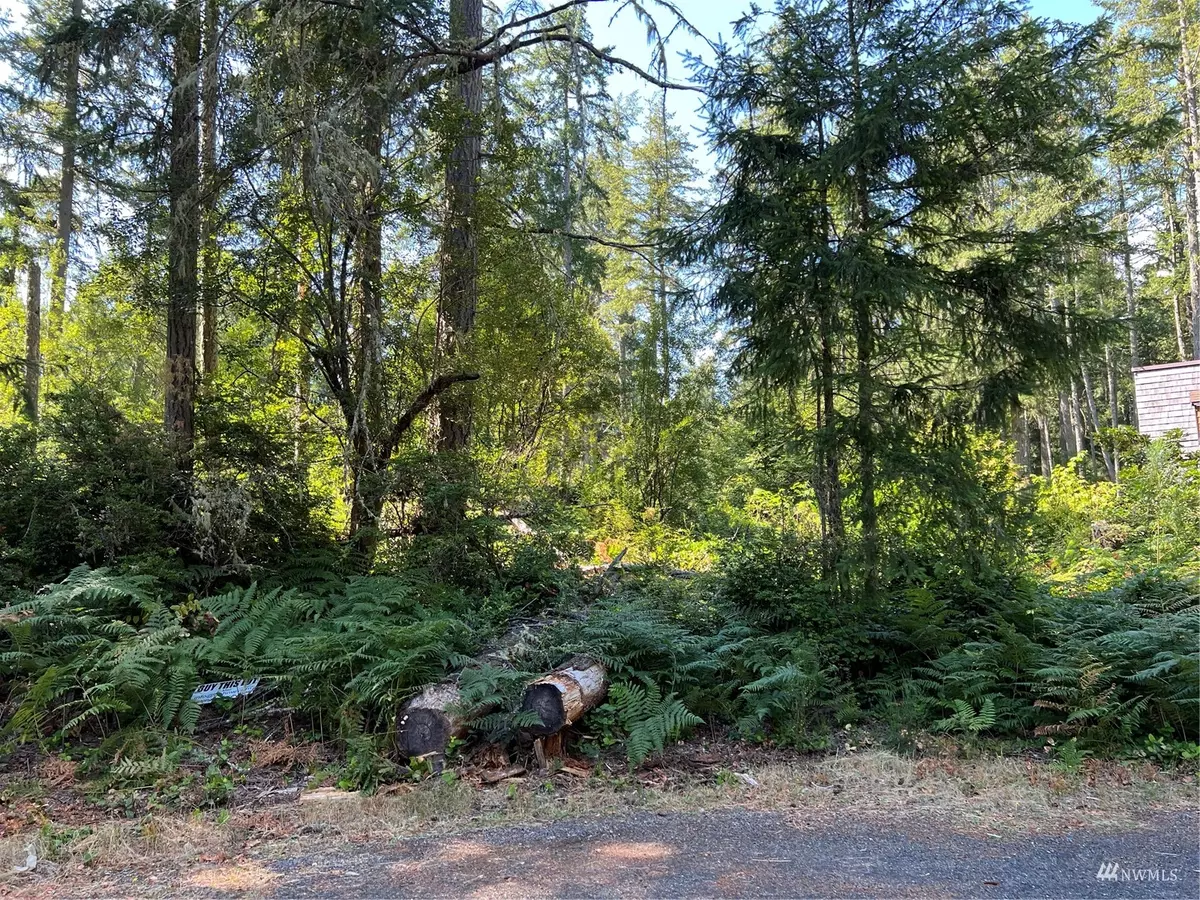 Anderson Island, WA 98303,11811 Dogwood PL