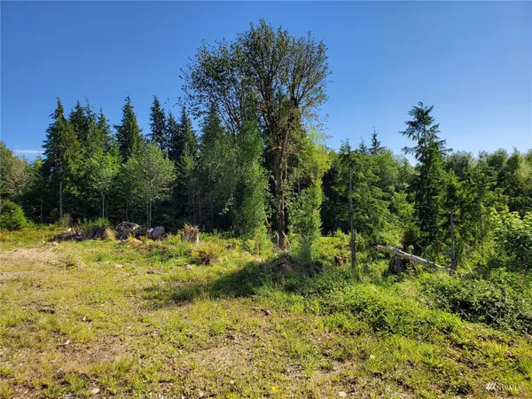 Elma, WA 98541,0 xxx W Hatfield RD