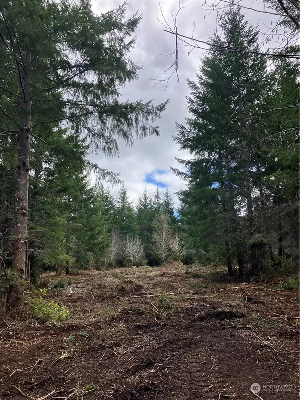 Shelton, WA 98584,3 E Lone Fir Drive RD E