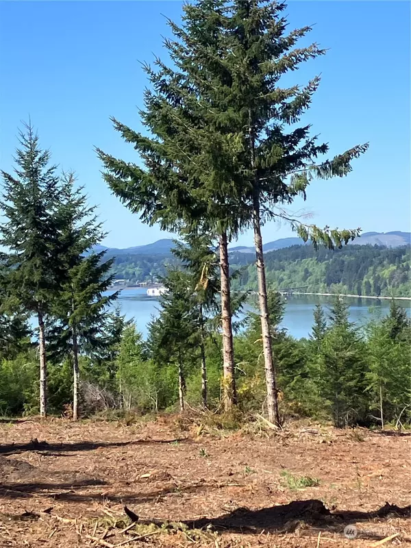 4 E Lone Fir Drive RD E, Shelton, WA 98584