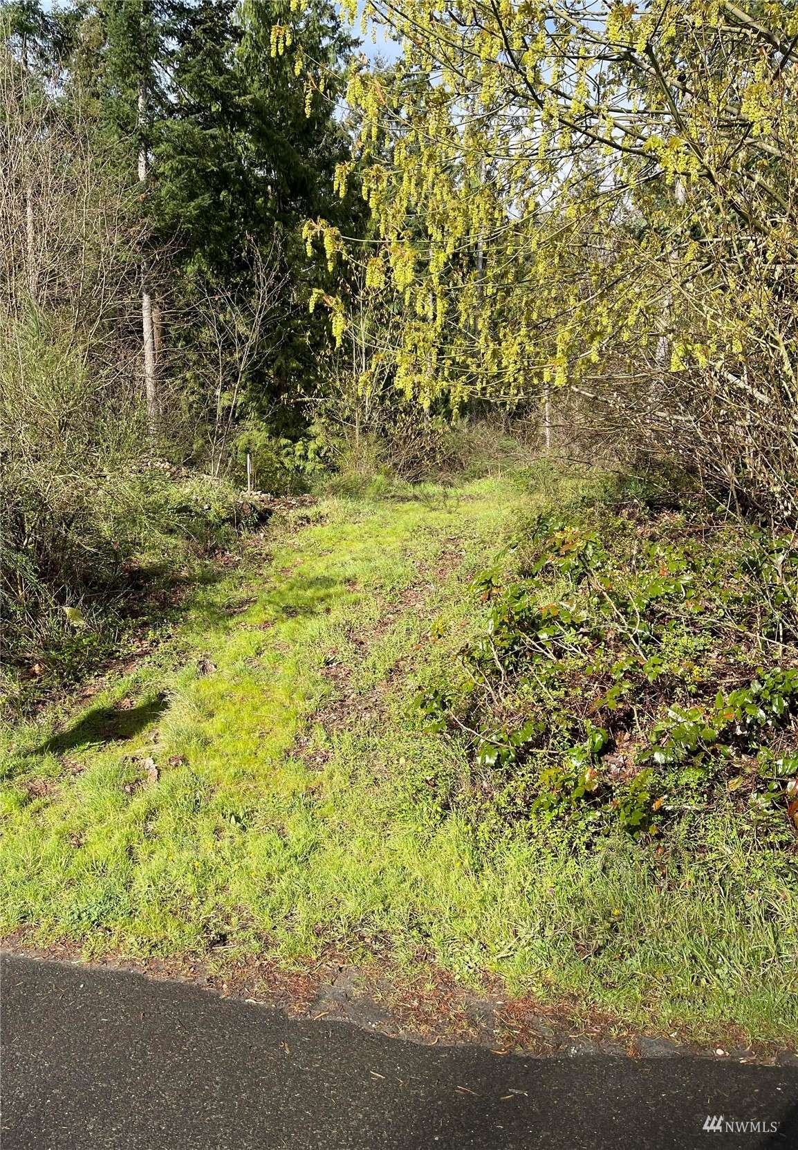 17905 E Clear Lake BLVD SE, Yelm, WA 98597