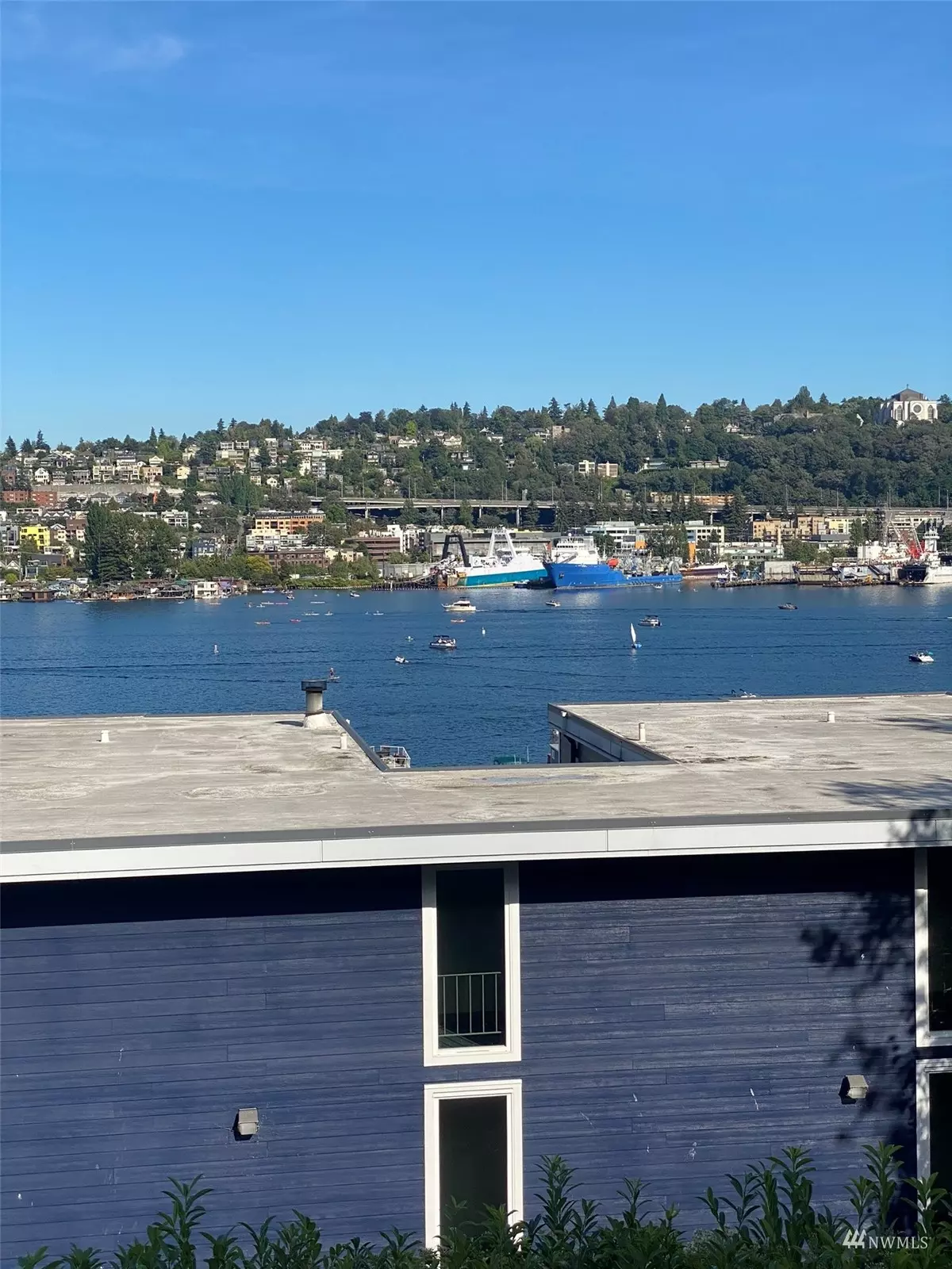 Seattle, WA 98109,802 Newton ST #302