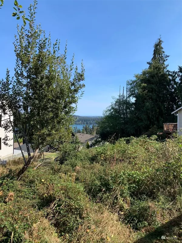 Freeland, WA 98249,0 Lot 5 Harbor Hills DR