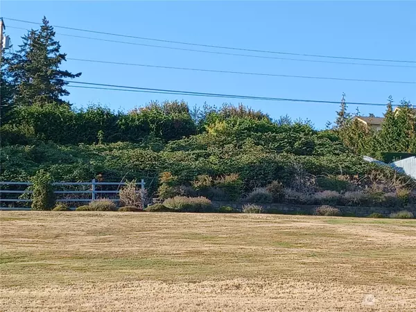 Oak Harbor, WA 98277,2 Lot Dugualla RD