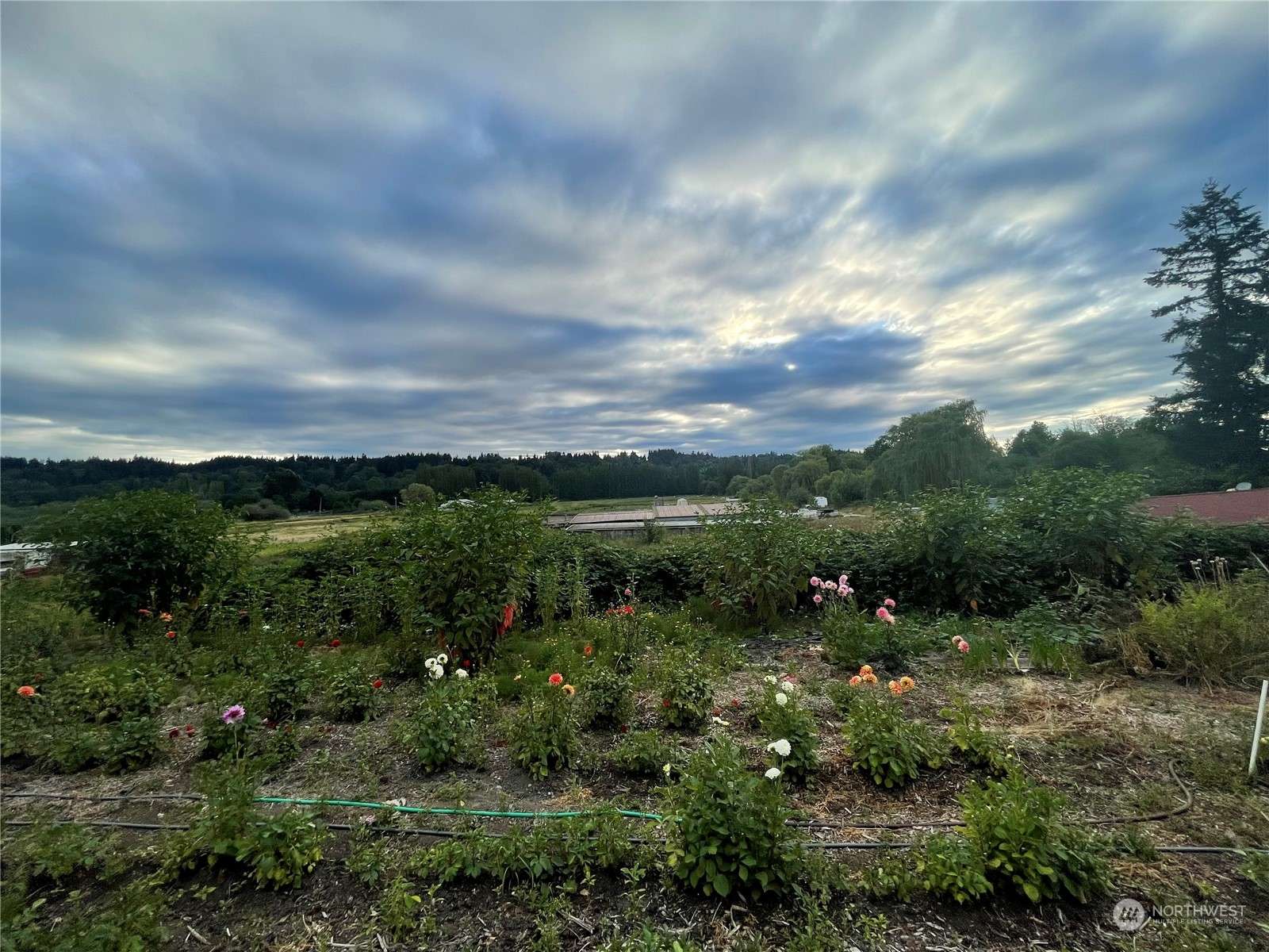 15165 148th AVE NE, Woodinville, WA 98072