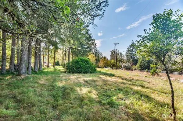 Toutle, WA 98649,0 Kid Valley RD