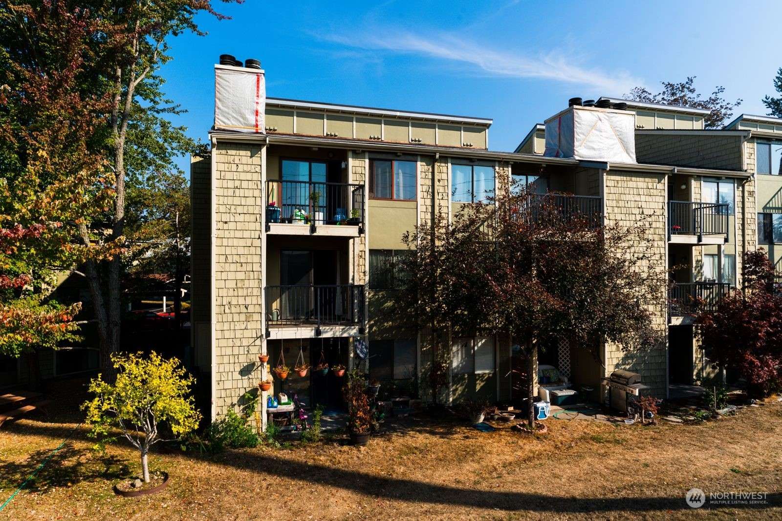 2020 Grant AVE S #M205, Renton, WA 98055