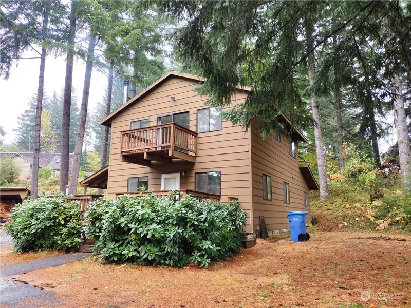 164 Alpine DR, Packwood, WA 98361