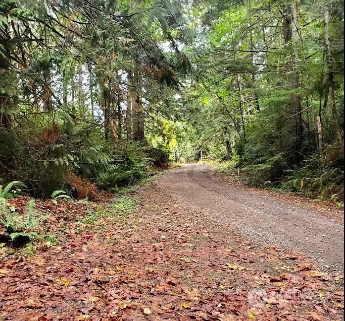 Seabeck, WA 98380,0 Foley LN NW