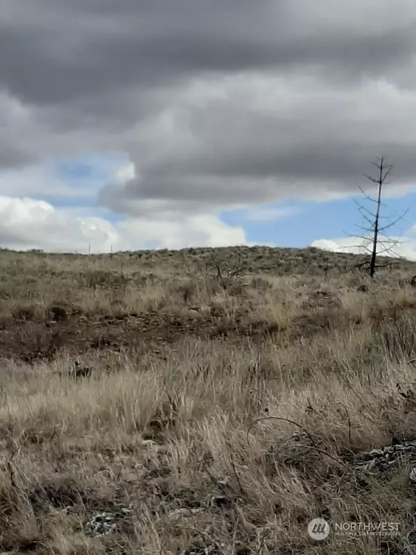 0 nna Springs Canyon RD #Lot36, Orondo, WA 98834