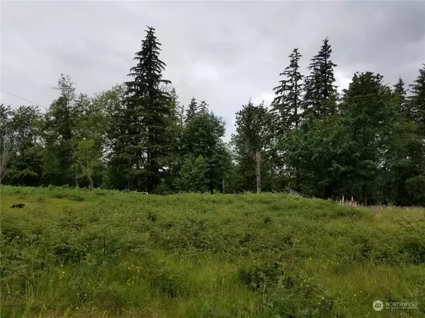 Ravensdale, WA 98051,339 XX SE 263rd