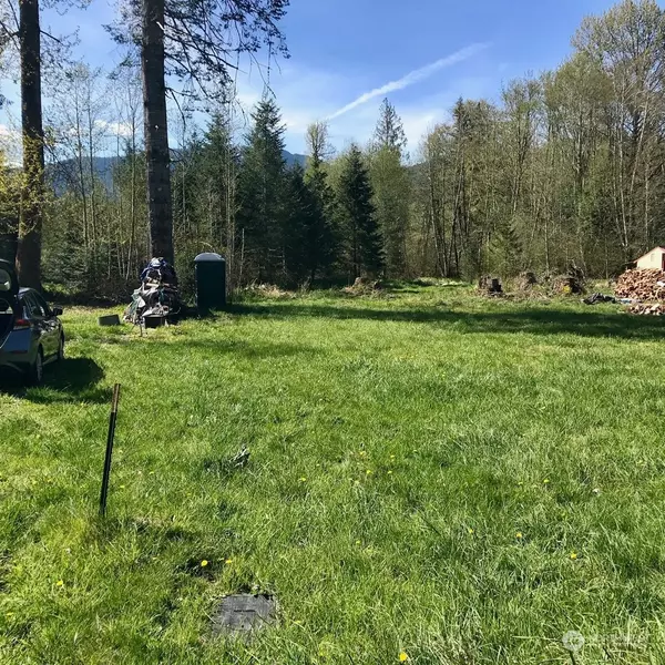 31208 555th Street Ct E, Ashford, WA 98304