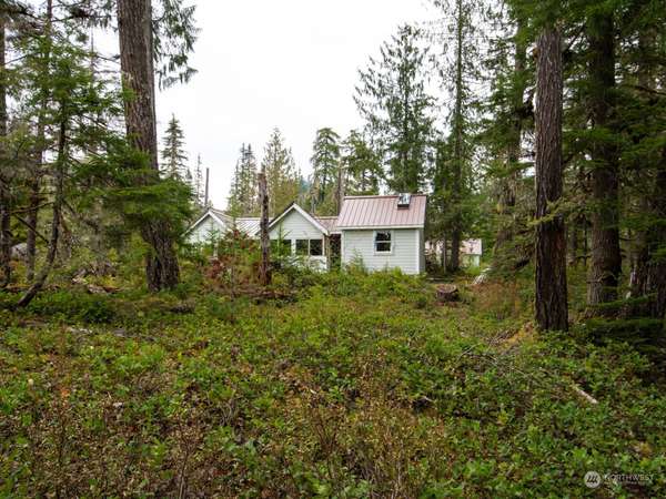 7360 USFS 81 RD, Cougar, WA 98616