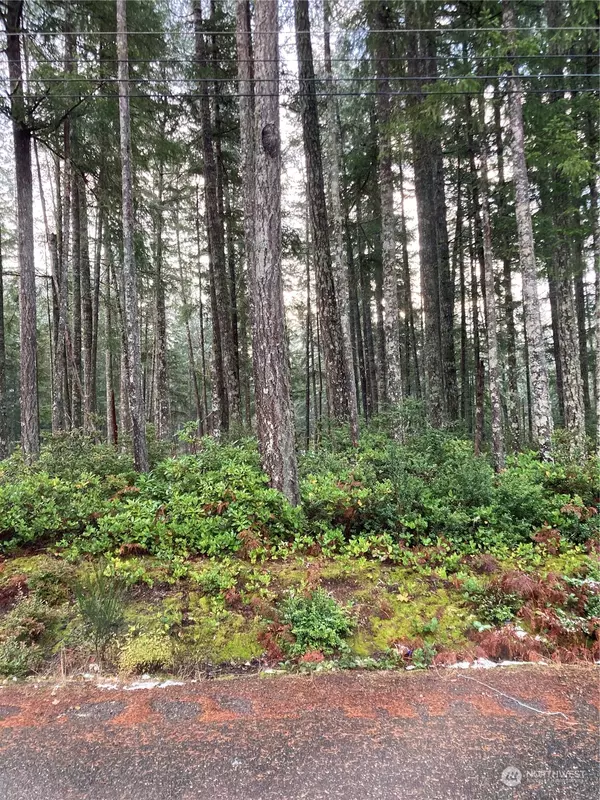 530 E Road of Tralee, Shelton, WA 98584