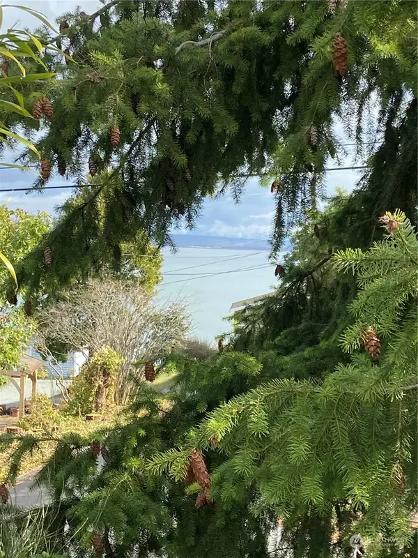 Camano Island, WA 98282,1481 SE Camano DR