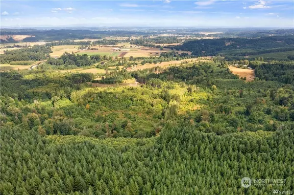 Adna, WA 98522,0 Lot 3 Ceres Hill RD