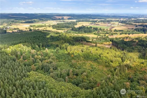 Adna, WA 98522,0 Lot 3 Ceres Hill RD