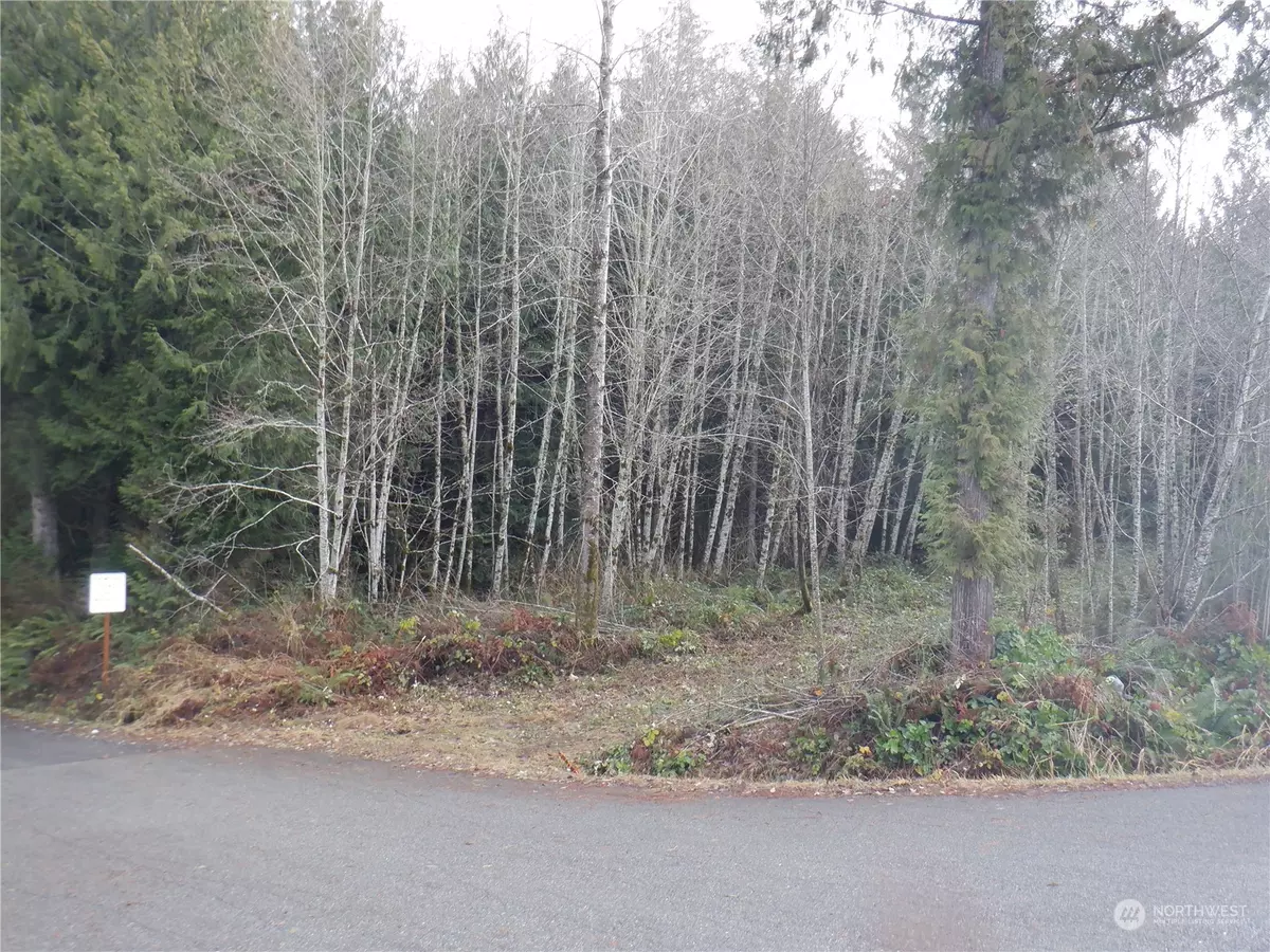 Quilcene, WA 98376,12 Old Tarboo Lake RD