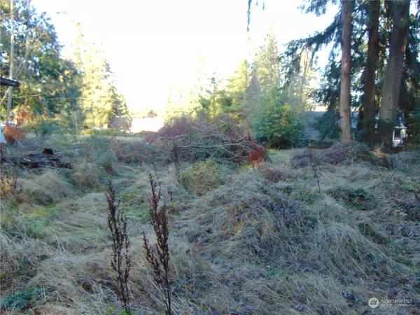 Camano Island, WA 98282,0 Lot 4 Hemlock DR