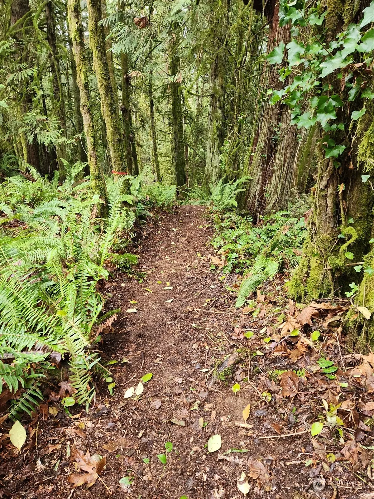 Bainbridge Island, WA 98110,23 Lot NE Twin Ponds RD