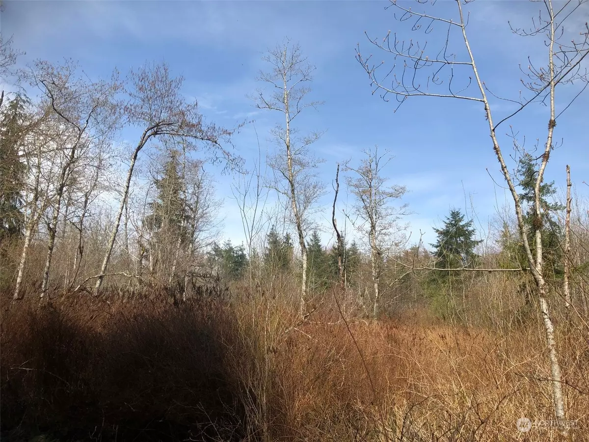 Quilcene, WA 98376,9 XXX Lakenes RD