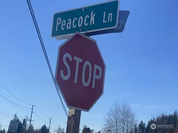 Burlington, WA 98233,0 Peacock LN