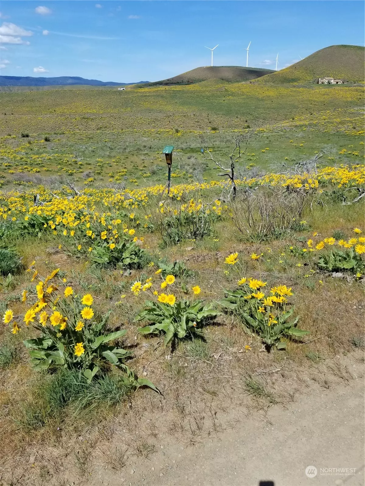 Ellensburg, WA 98926,1 Lot 10 Ellensburg Ranches RD