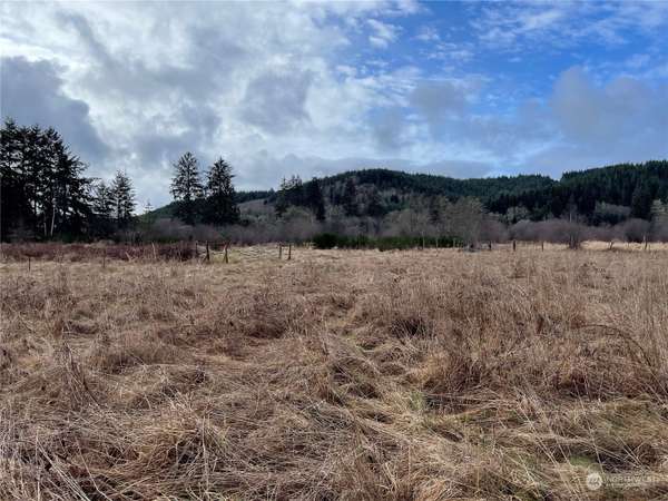 0 Country RD, Cathlamet, WA 98612