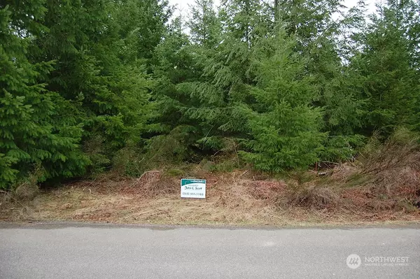 White Pass, WA 98361,107 Jack Fir CT W