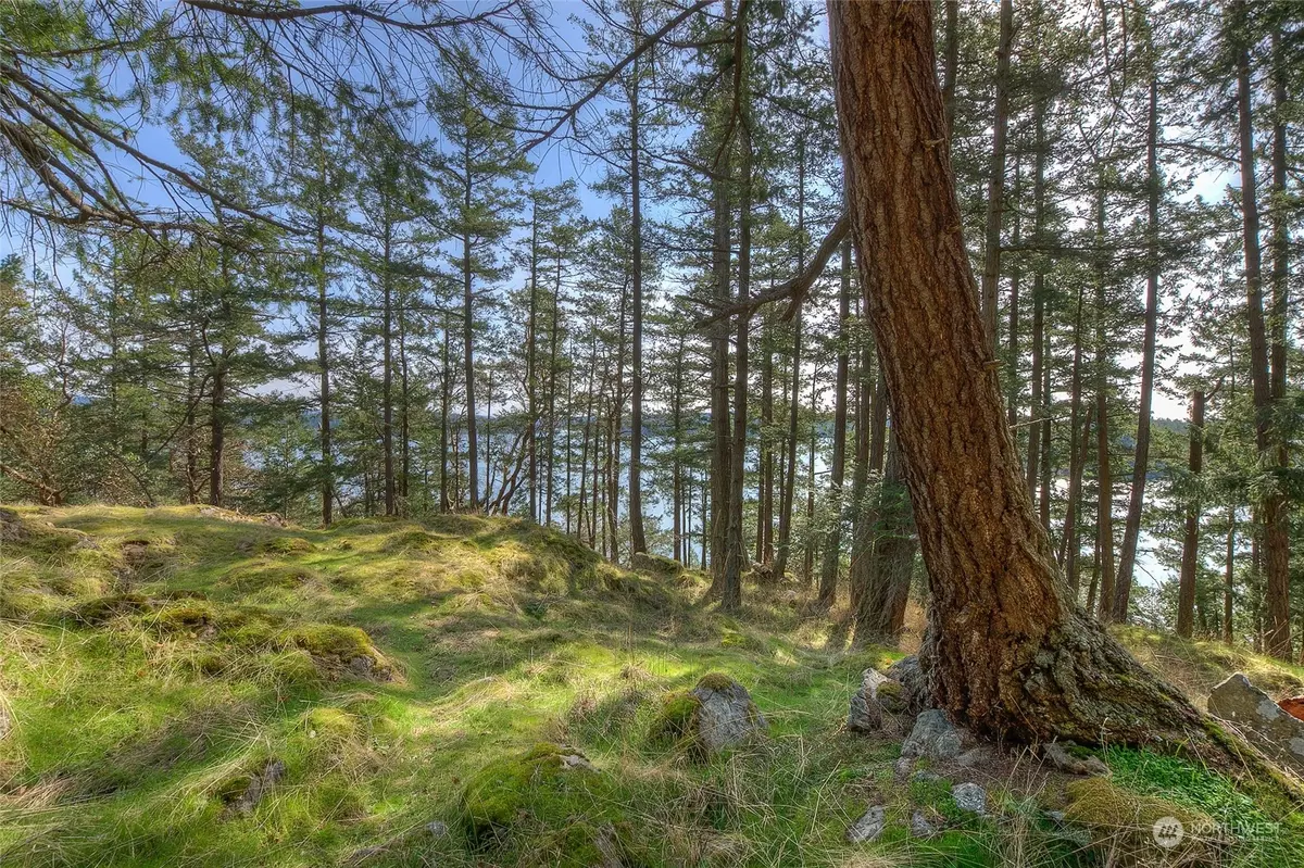 Orcas Island, WA 98245,1570 Spring Point RD