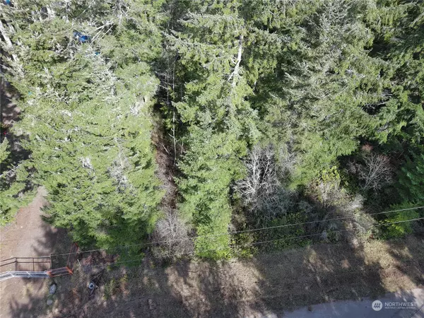 Quilcene, WA 98376,0 E Go Onna DR #Lot24