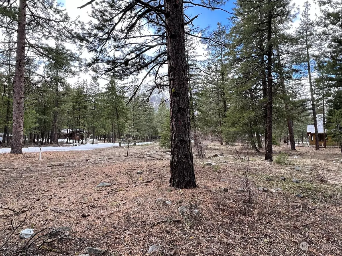 Mazama, WA 98833,8 Nellas PL