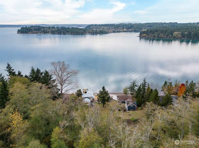 12410 Cole Point DR, Anderson Island, WA 98303