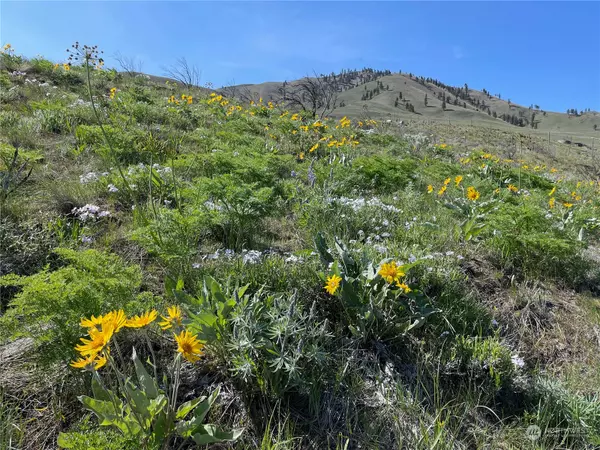 Chelan, WA 98816,0 NNA E Iowa ST