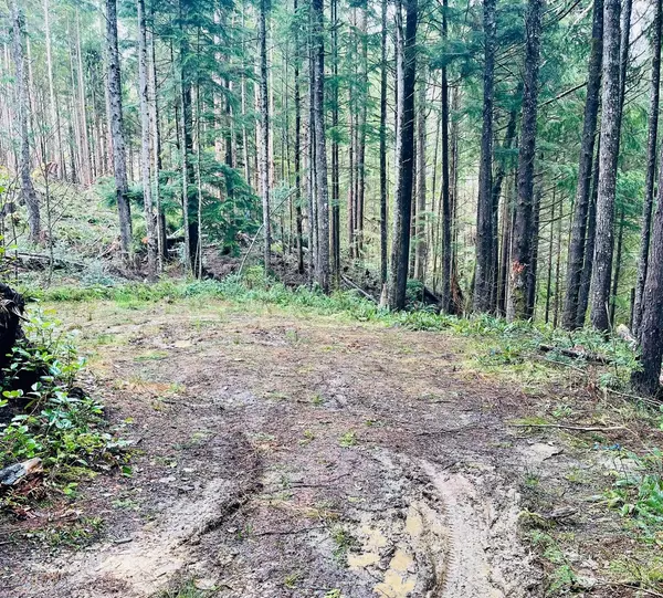 0 Oil City RD, Forks, WA 98331
