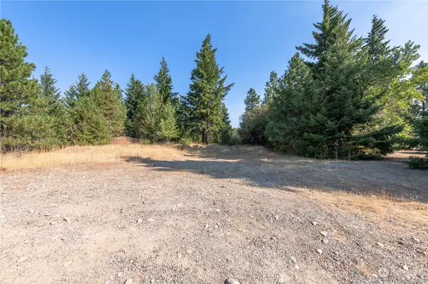 Cle Elum, WA 98922,0 Canyon Heights DR