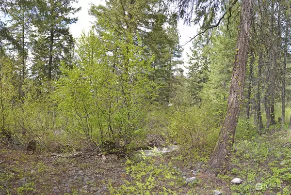 Winthrop, WA 98862,4 Lupine RD