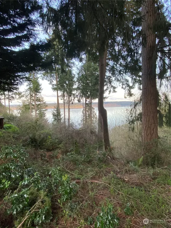 Anderson Island, WA 98303,10911 Seaview DR