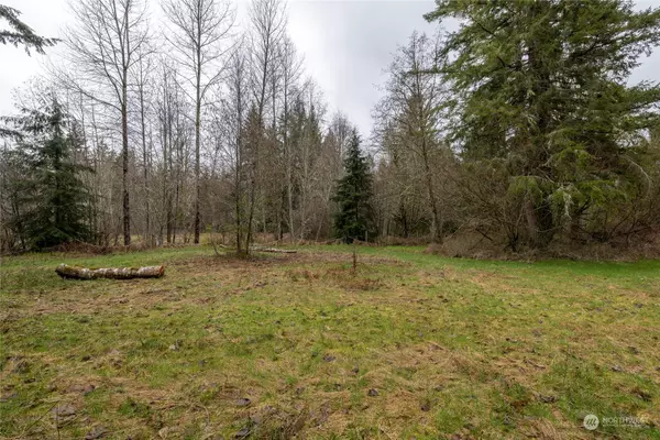 Elbe, WA 98330,0 212th AVE E