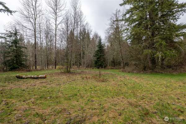 0 212th AVE E, Elbe, WA 98330