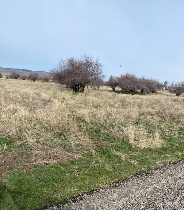 231 Sawbuck DR, Ellensburg, WA 98926