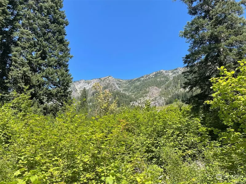 0 Lot B Brisky Canyon RD, Cashmere, WA 98815