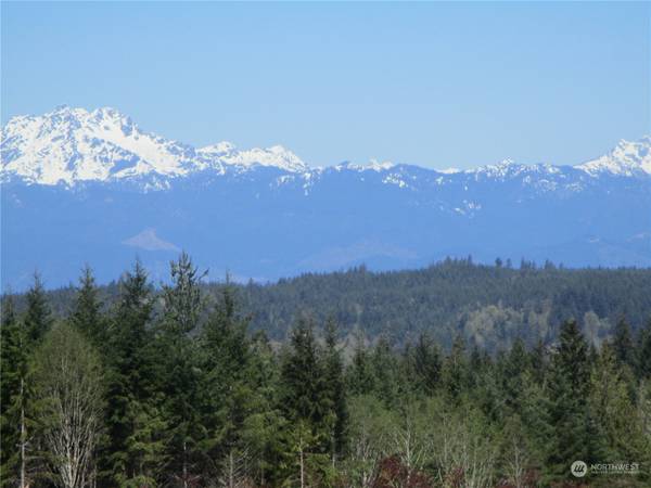 0 Tract C1 Johnson Ridge RD, Belfair, WA 98528