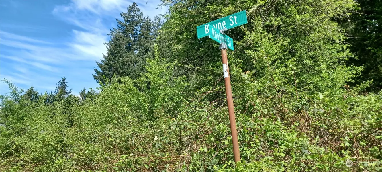 0 xxx Rhobina ST, Centralia, WA 98531