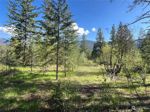 Winthrop, WA 98862,24 Liberty LN