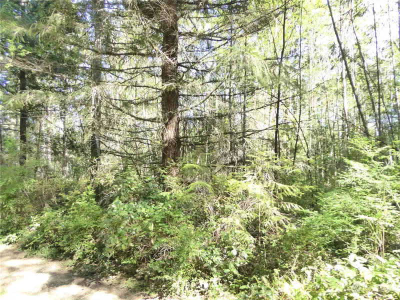 1 Bunny Run LN, Quilcene, WA 98376