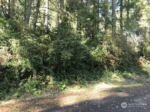 10512 105th Avenue Ct, Anderson Island, WA 98303