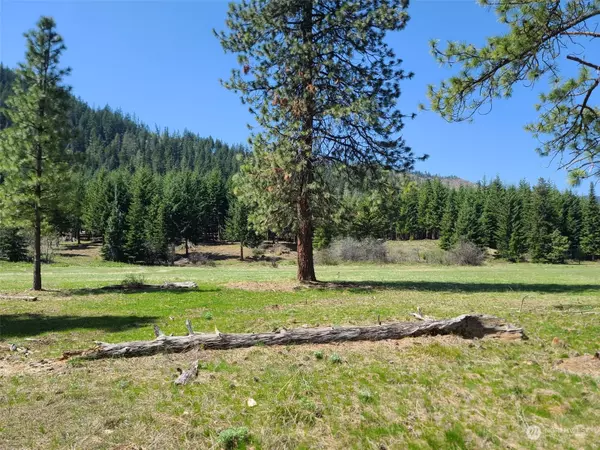 Cle Elum, WA 98922,24 Domerie Park LOOP