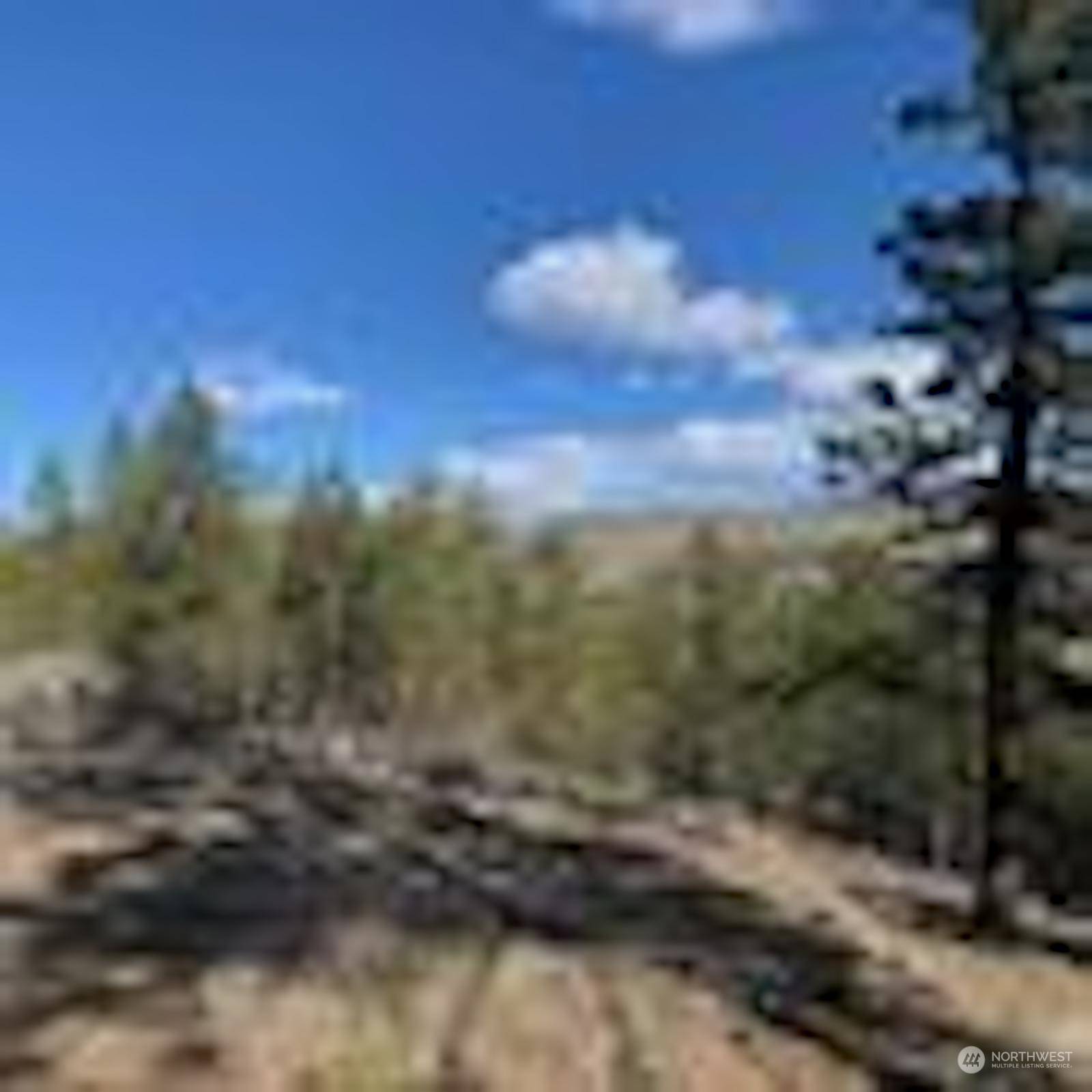 Davenport, WA 99122,0 Lot 2 Scenic Ruffed Grouse DR