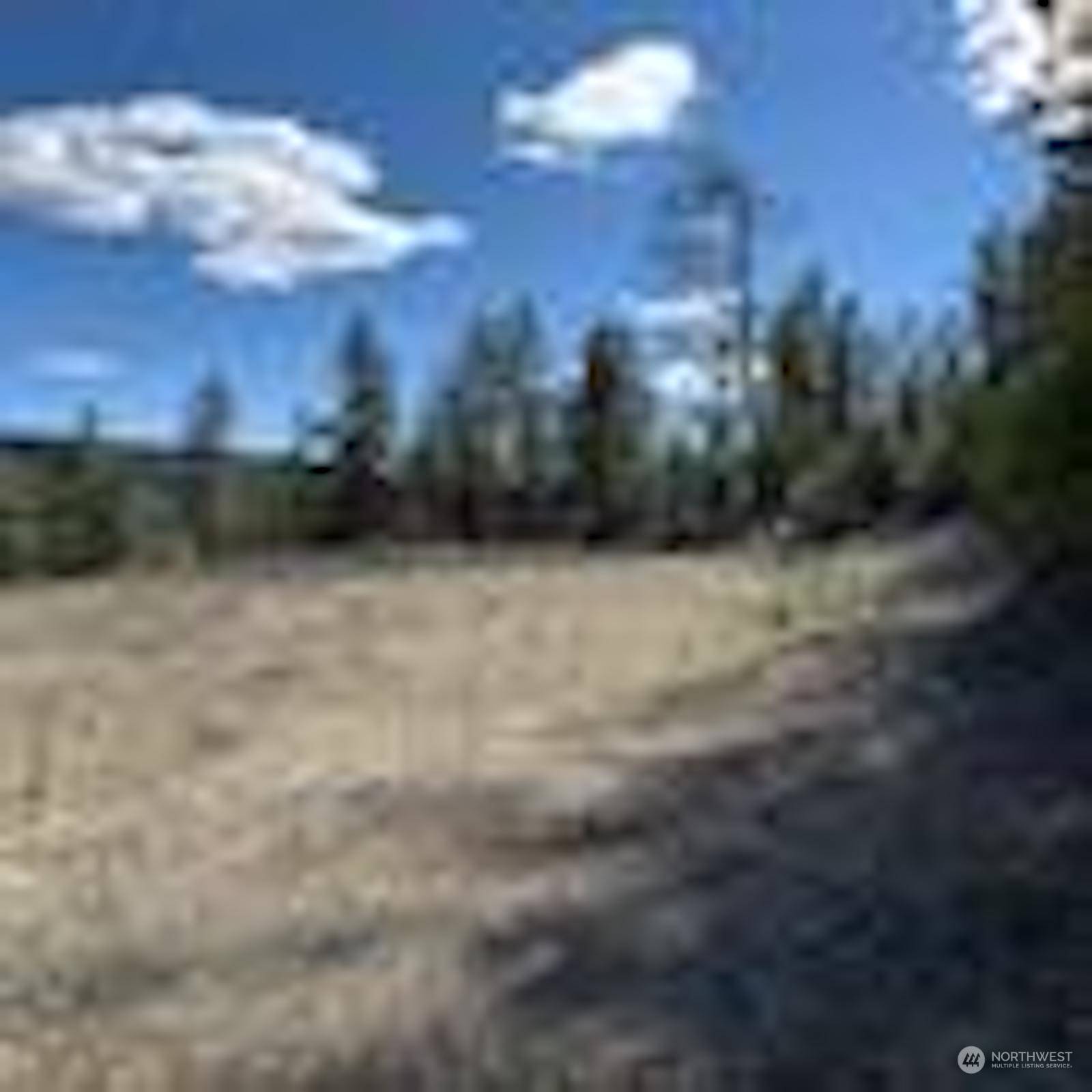 Davenport, WA 99122,0 Lot 2 Scenic Ruffed Grouse DR